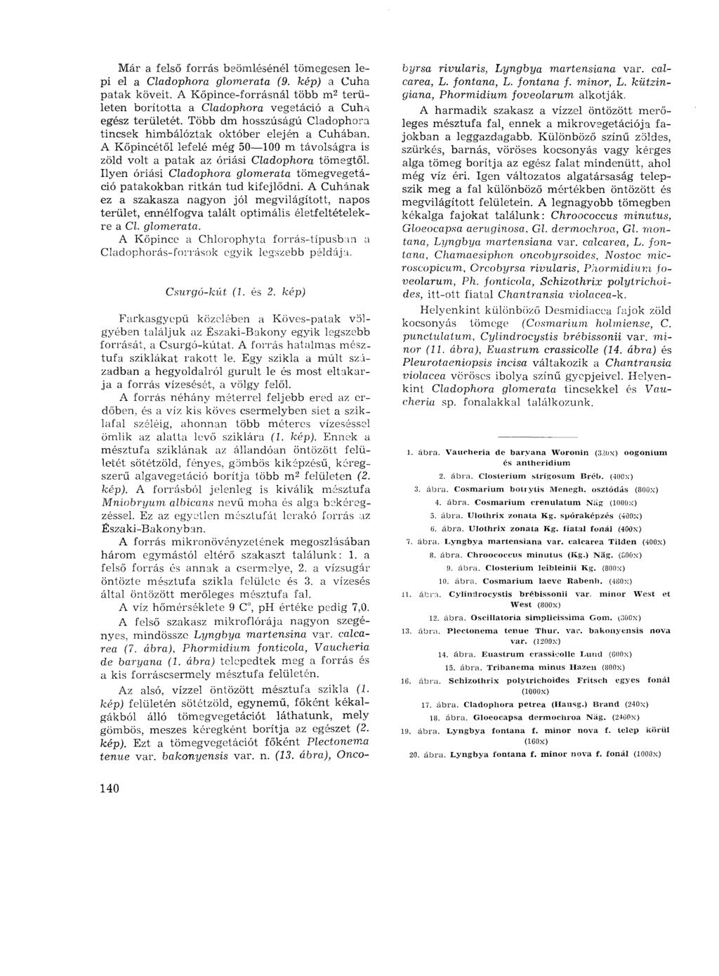 Már a felső forrás beömlésénél tömegesen lepi el a Cladophora glomerata (9. kép) a Cuha patak köveit. A Kőpince-forrásnál több m 2 területen borította, a Cladophora vegetáció a Cuha egész területét.