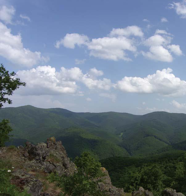 BEVÁLLALOD? A túra időtartama: 2,5-3 óra Részvételi díj: 7 000 Ft/fő, diák (14 éves kor alatt): 4 500 Ft/fő Megközelítés: Bp.