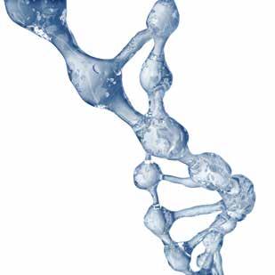 A hialuron természetes formában is előfordul a testben a kötőszöveti sejtek termelik, ezért kívülről is bevihető a szervezetbe.