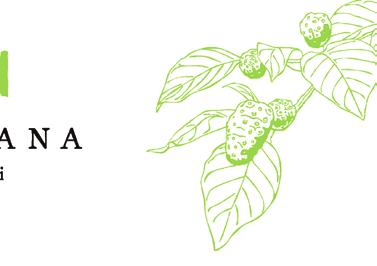 CREMĂ HIDRATANTĂ TEMANA NONI BRIGHTENING O cremă de lux cu parfum de trandafir, care calmează pielea și are o textură ușoară.