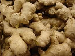 Claisen-kondenzáció feruloil-coa H H H 3 C H 3 C H 6-gingerol H H H 3 C H - H 2 6-sogaol H 3 C H