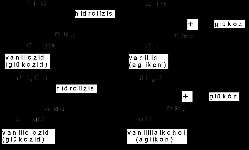 termés zöldes hőkezelik, szárítják, majd több hónapig érlelik 10-20 cm hosszú és 3-10 mm vastag toktermés,