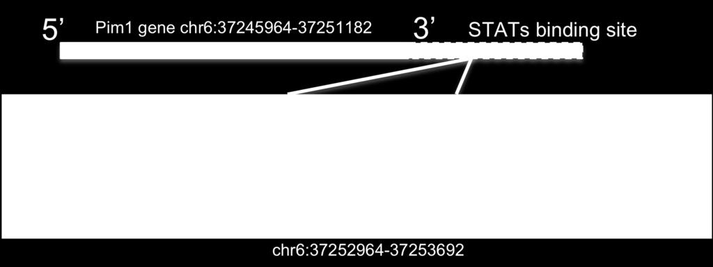 /#($)-2)&%0/"#)"3)4/56) 0%#%7)!89474!:) *!,-')$**.