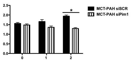 '0 % 37%!"#$% F&%!&'% %Q>D#5E% %7@4<=% #LM%>#%% 5=BC%$4@":% 40 µm!