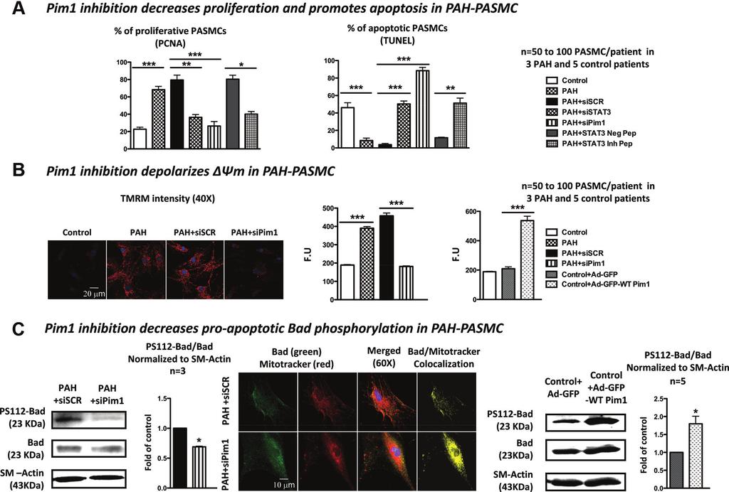 1208 Circulation March 22, 2011 Downloaded from http://circ.ahajournals.org/ by guest on April 23, 2018 Figure 2.