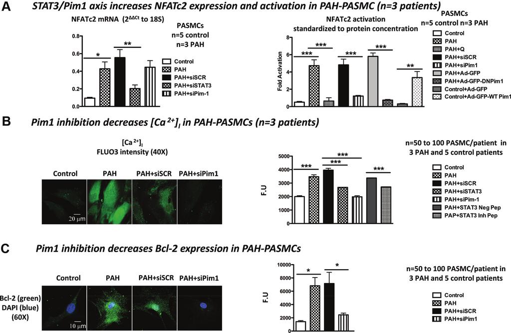 Paulin et al Pim1 Inhibition Reverses Pulmonary Hypertension 1209 Downloaded from http://circ.ahajournals.org/ by guest on April 23, 2018 Figure 3.