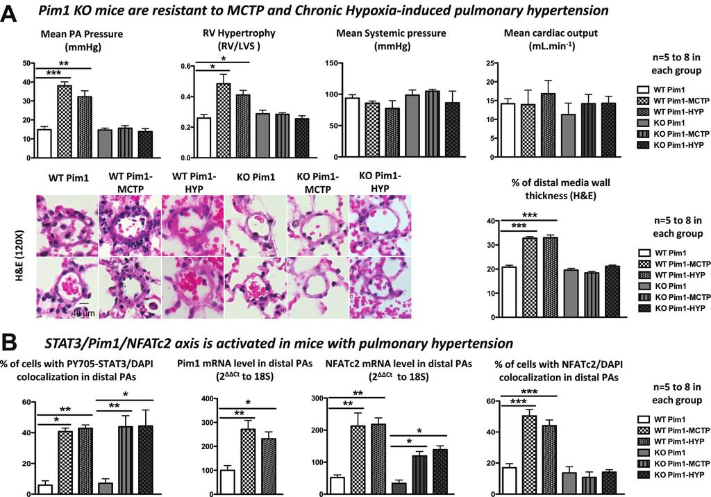 1212 Circulation March 22, 2011 Downloaded from http://circ.ahajournals.org/ by guest on April 23, 2018 Figure 6.