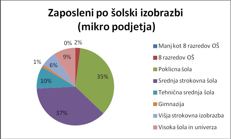 Naslednji trije diagrami prikazujejo šolsko izobrazbo zaposlenih glede na kategorijo oziroma velikost podjetij. Večjih razlik ni, razvidne so samo minimalne razlike.