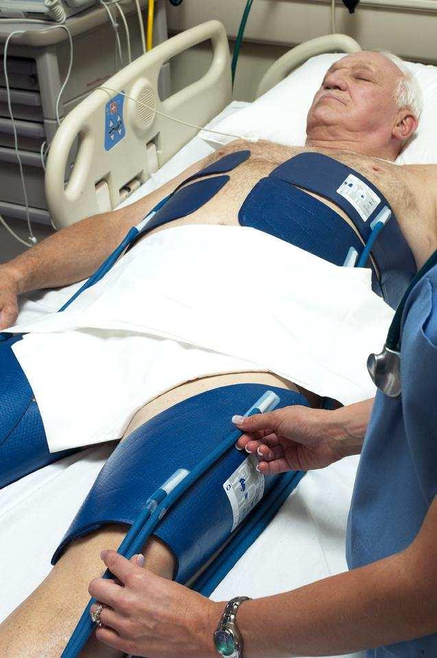 Endovascularis