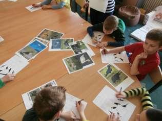 A következő feladat során könyvborítókat raktak ki a gyerekek, amelyek segítségével megtanulták az őrjegyek használatát, illetve azt, hogyan kell egy adott könyvet a polcon megkeresni.