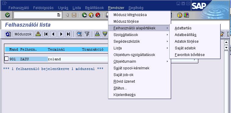 Beállítási menük 29 29 SAP felhasználói
