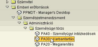 Menüből kiválasztva A SAP standard, favorit vagy felhasználó menüben egyszerűen