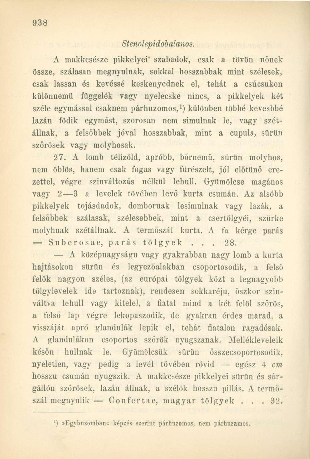 A makkcsésze pikkelyei' szabadok, csak a tövön nőnek össze, szálasán megnyúlnak, sokkal hosszabbak mint szélesek, csak lassan és kevéssé keskenyednek el, tehát a csúcsukon különnemű függelék vagy
