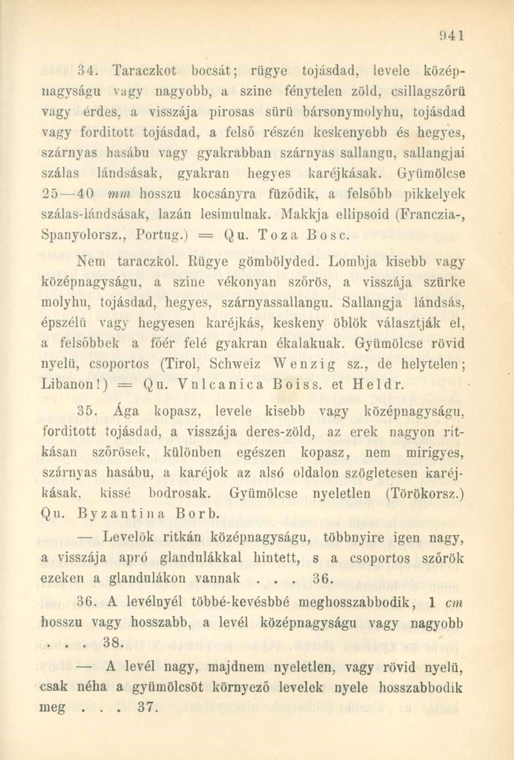 34. Taraczkot bocsát; rügye tojásdad, levele középnagyságú vagy nagyobb, a szine fénytelen zöld, csillagszőrü vagy érdes, a visszája pirosas sürü bársonymolyhu, tojásdad vagy fordított tojásdad, a