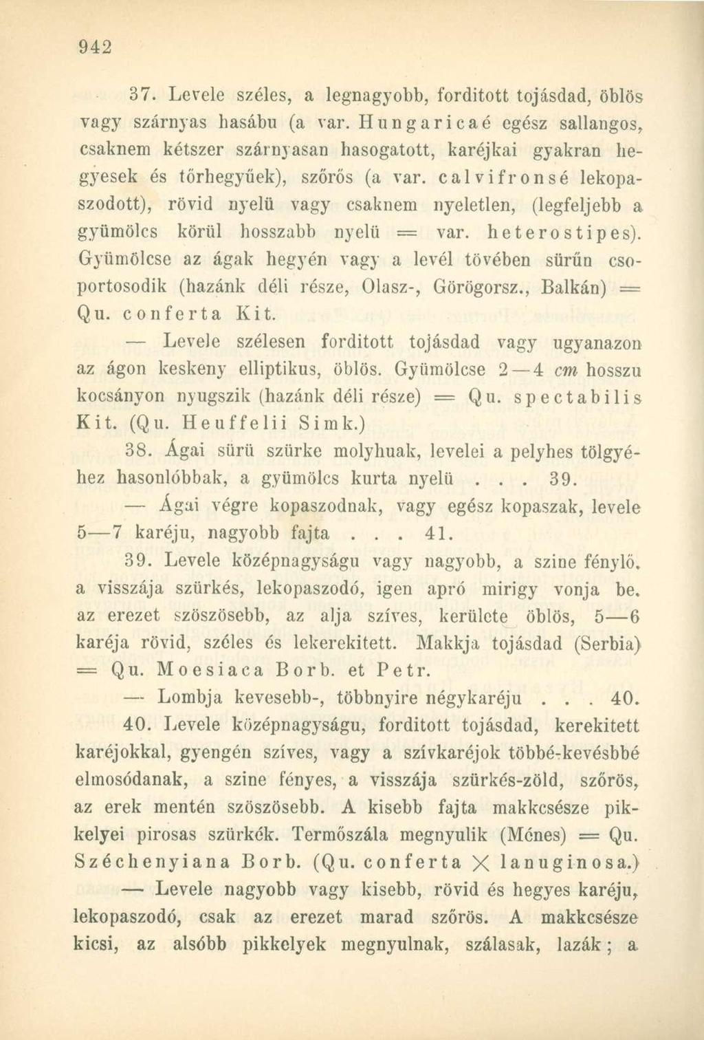 37. Levele széles, a legnagyobb, forditott tojásdad, öblös vagy szárnyas hasábu (a var.