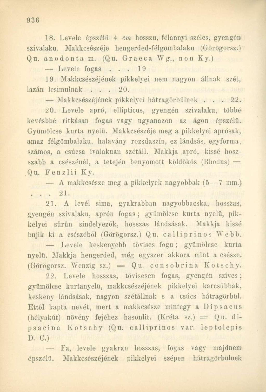 18. Levele épszélü 4 cm hosszú, félannyi széles, gyengén szivalaku. Makkcsészéje hengerded-félgömbalaku (Görögorsz.) Qu. anodonta m. (Qu. Graeca Wg., non Ky.) Levele fogas... 19 19.
