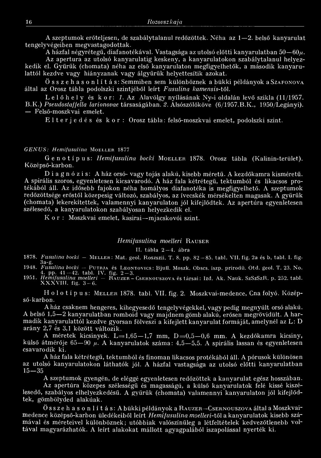 Gyűrűk (chomata) néha az első kanyarulaton megfigyelhetők, a második kanyarulattól kezdve vagy hiányzanak vagy álgyűrűk helyettesítik azokat.