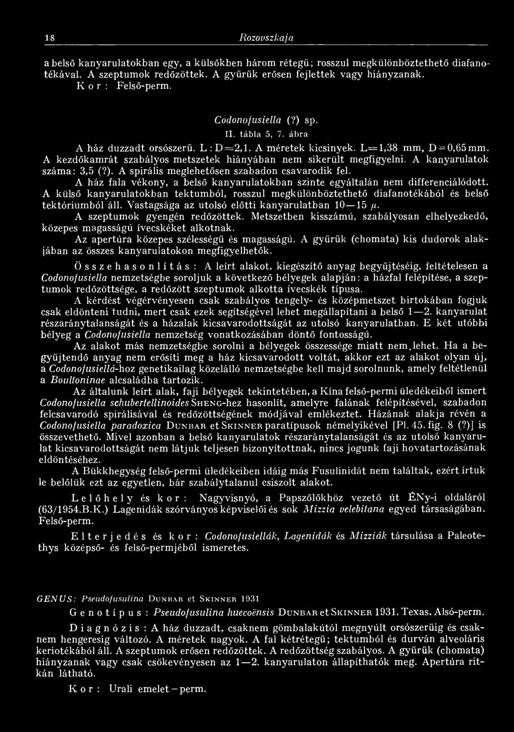 A kanyarulatok száma: 3,5 (?). A spirális meglehetősen szabadon csavarodik fel. A ház fala vékony, a belső kanyarulatokban szinte egyáltalán nem differenciálódott.