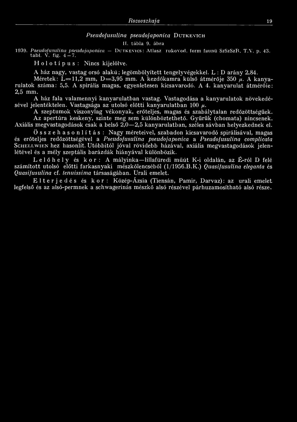 A kanyarulatok száma: 5,5. A spirális magas, egyenletesen kicsavarodó. A 4. kanyarulat átmérőié: 2,5 mm. A ház fala valamennyi kanyarulatban vastag.