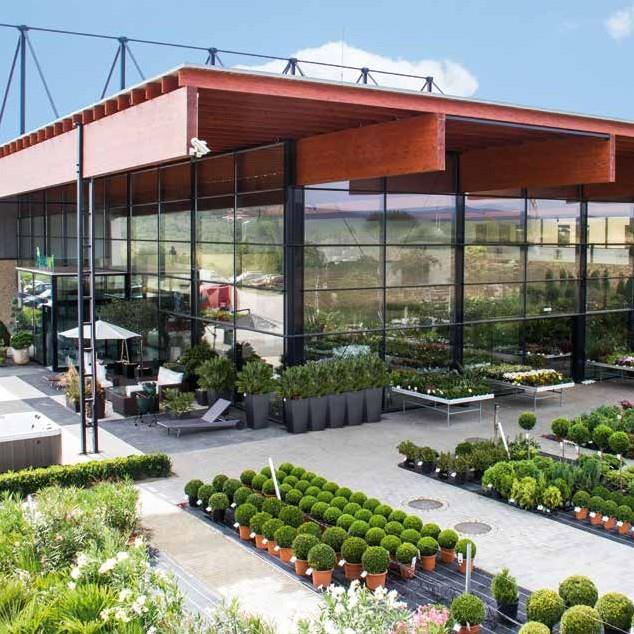 KI AZ a Plantart? Magyarországon és Európa több országaban, a legnagyobb szállodaláncokban, irodaházakban, bankokban, bevásárloközpontokban.