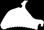7200, 8000, 10000 Jumbo Combiline: 6000, 6600, 7200, 10000 Torro: