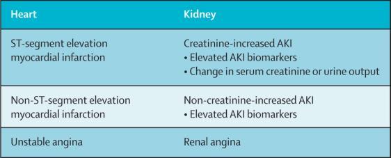 ACUTE KIDNEY INJURY NETWORK (AKIN) AKI definició 2008 An abrupt (within 48 hours) reduction in kidney function currently defined as an absolute increase in serum creatinine of more than or equal to 0.