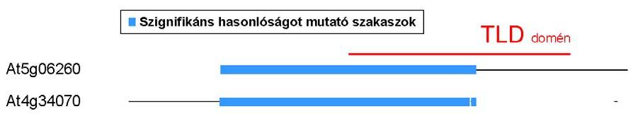 Mivel az Arabidopsis thaliana, magyarul lúdfű a növényi genetikai kutatások egyik modell organizmusa, s esetében lehetséges mind funkció-vesztéssel járó mutáns, mind fehérje túltermelő transzformáns