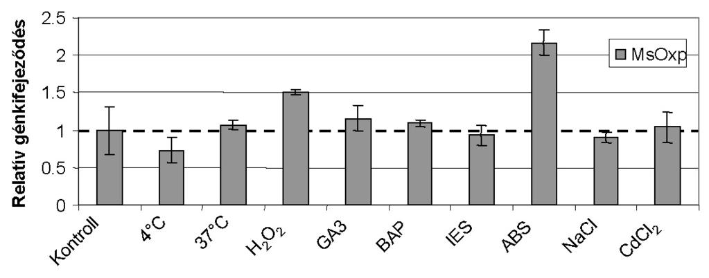 7-17. Ábra. A lucerna MsOxprot gén relatív génkifejeződése különböző stressz és hormonkezelésnek kitett 2 hetes (Medicago truncatula) csíranövényeken.