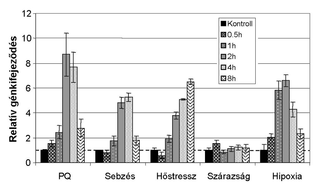 7-19. Ábra. Az Arabidopsis AtOxprot gén relatív génkifejeződése különböző stresszkezeléseknek kitett fiatal leveleken.