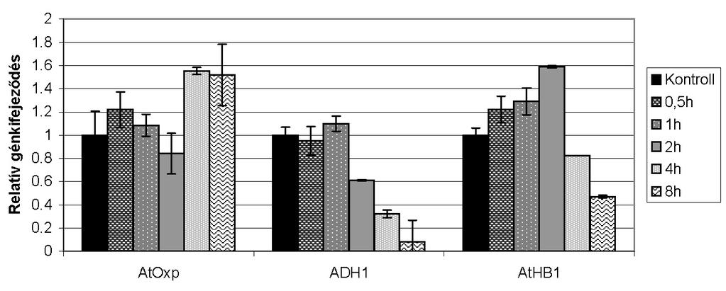 7-22. Ábra. Relatív génkifejeződés a 2 mm H 2 O 2 -vel kezelt vadtípusú lúdfű sejtszuszpenzióban. A génkifejeződést a glicerinaldehid-3 foszfát dehidrogenáz (GAPDH2) gén kifejeződésére normalizáltuk.