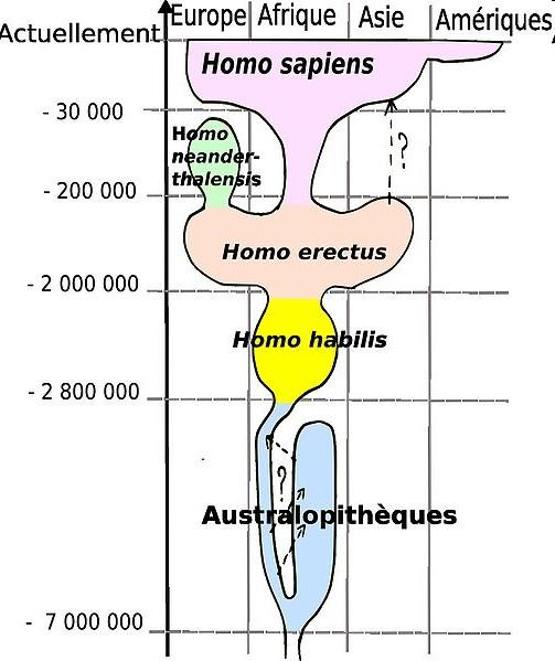 Jelen EURÓPA AFRIKA ÁZSIA