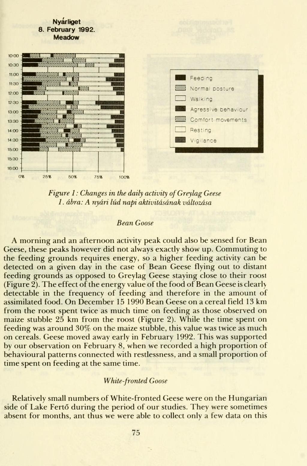 Nyárliget 8. February 1992. Meadow 15:30-16:00-0* 25* 50* 75* 100* Figure 1: Changes in the daily activity of Greylag Geese 1.
