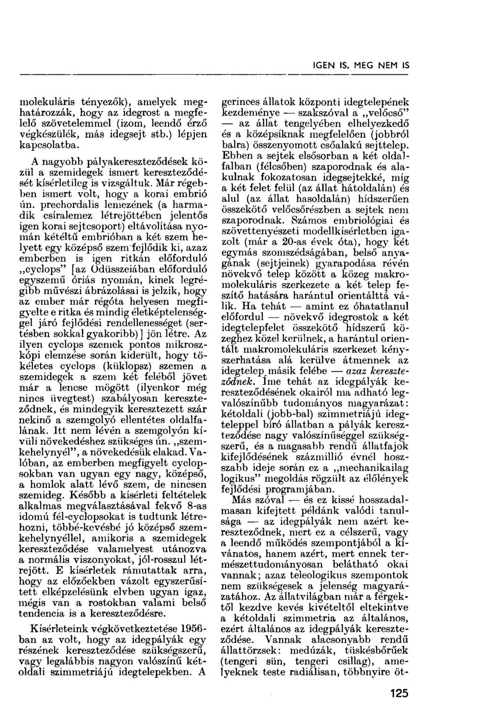 IGEN IS, MEG NEM IS molekuláris tényezők), amelyek meghatározzák, hogy az idegrost a megfelelő szövetelemmel (izom, leendő érző végkészülék, más idegsejt stb.) lépjen kapcsolatba.