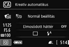 C Kreatív automatikus fényképezés (1) Záridő Rekesz ISO-érzékenység (2) (3) (5) (4) Ha a fényképezőgép Élő nézet felvétel üzemmódjában beállítja az (1), (2) vagy (3) funkciót, a hatás a fényképezés