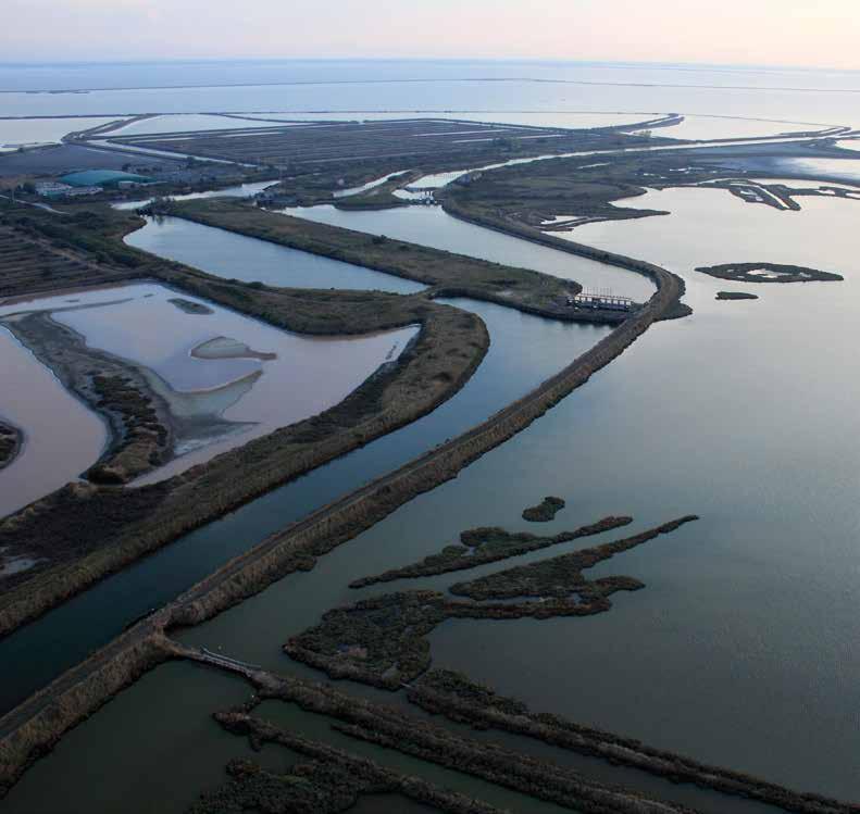Po Delta Park Riviera Les marais de Comacchio Une véritable réserve biologique où les anguilles deviennent adultes et se préparent à leurs amours océaniques : elles y entrent presque invisibles puis