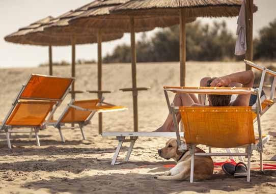 het hier prima naar z n zin heeft. Veel vakantiecentra en strandtenten zijn op het ontvangen van huisdieren ingericht.