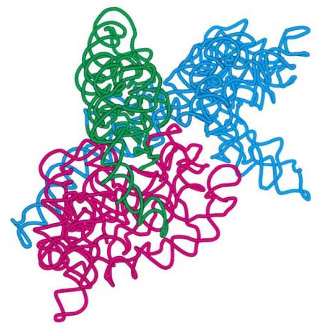 A 16S rrns szerkezete: másodlagos harmadlagos RNS