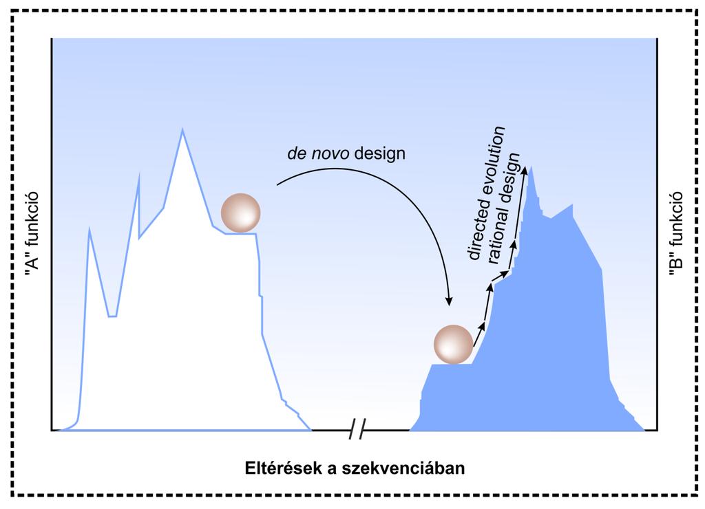 A de novo protein design