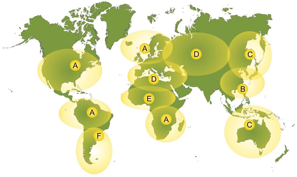 A hepatitis B vírus genotípusok