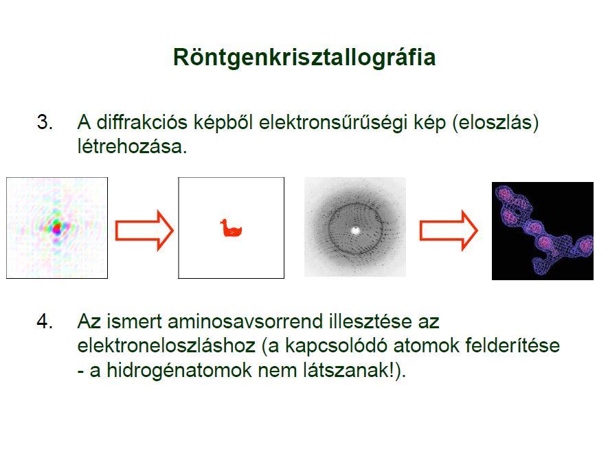 A fehérjeszerkezet megállapítása Röntgen krisztallográfiával I Fehérjék kristályosítása Megfelelő kristályok kiválasztása Nagy