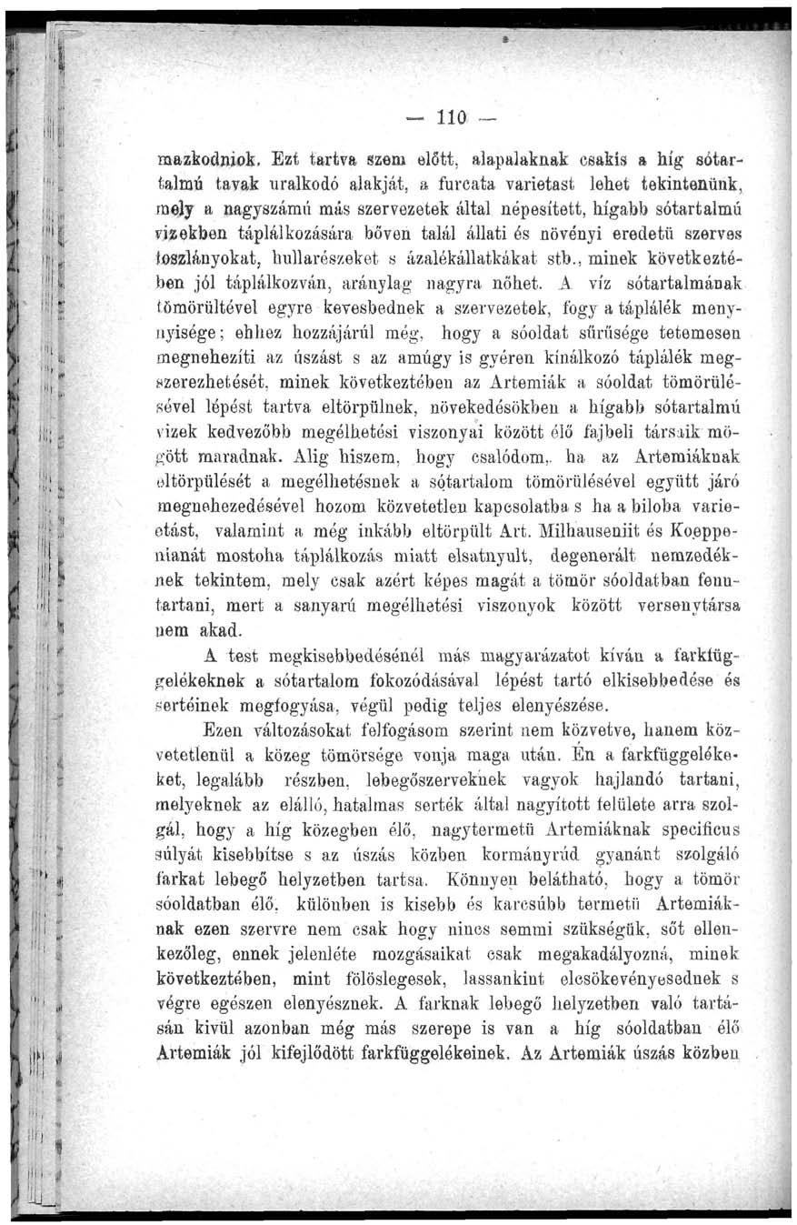 no mazkodniok.