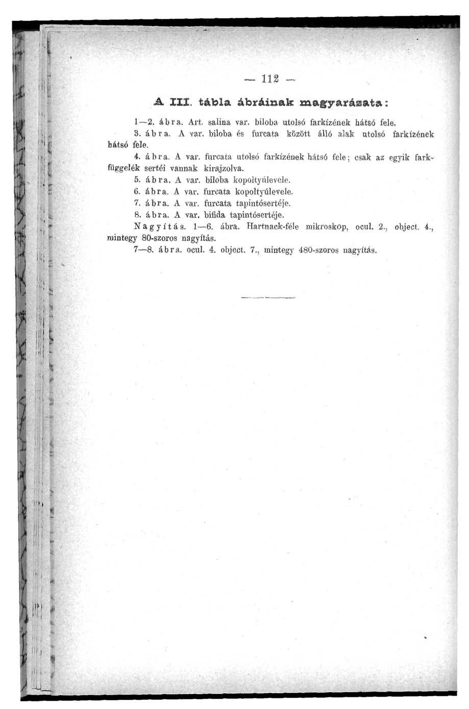 112 A III. tábla ábráinak magyarázata: 1 2. ábra. Art. saliua var. biloba utolsó farkízének hátsó fele. 3. ábra. A var.