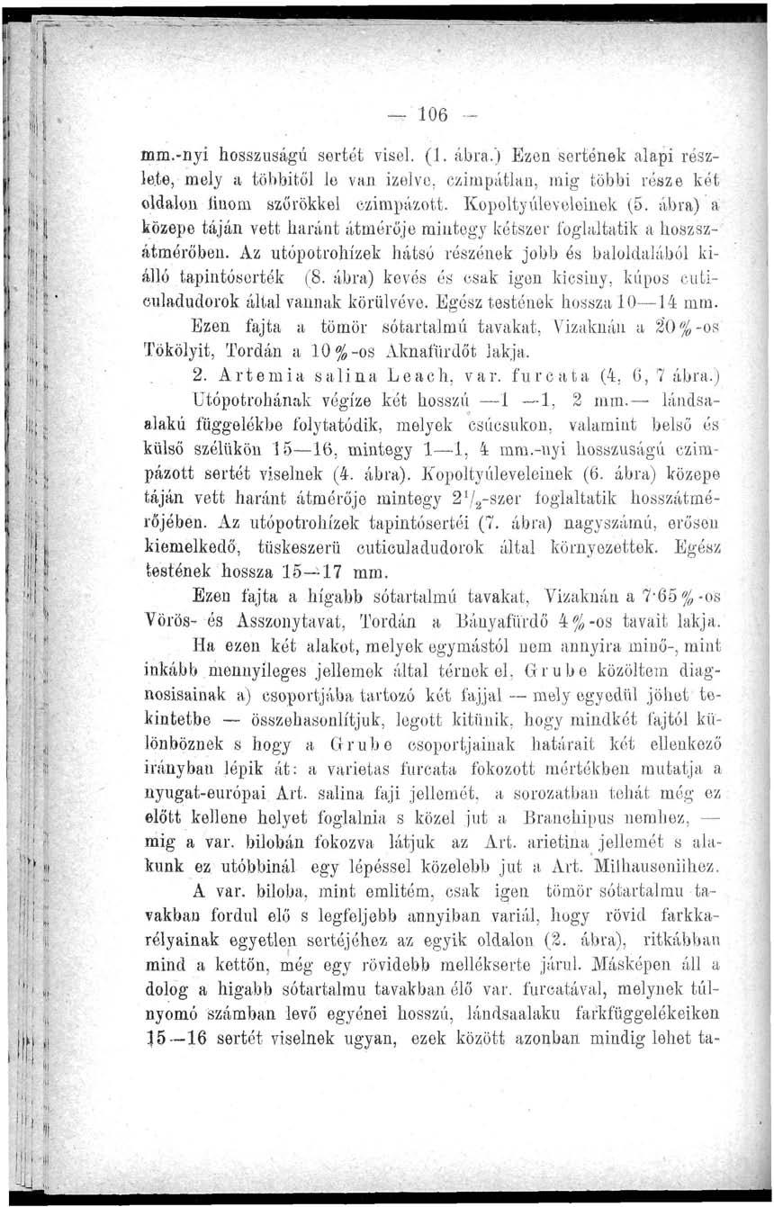 106 - mm.-nyi hosszúságú sertét visel. fi. ábra.) Ezen sértenek alapi részlete, mely a többitől le van izélve, czimpátlan, mig többi része két oldalon íinom szőrökkel czinipázott.