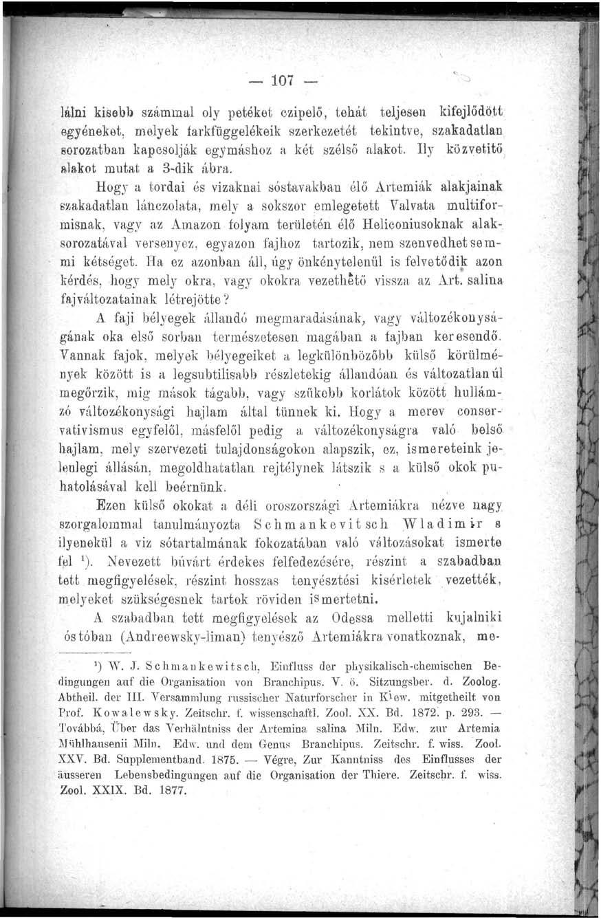107 látni kisebb számmal oly petéket czipelő, tehát teljesen kifejlődött egyéneket, melyek farkfüggelékeik szerkezetót tekintve, szakadatlan sorozatban kapcsolják egymáshoz a két szélső alakot.