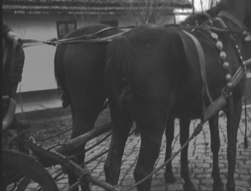 A fotó és eredete 2191 Oszlopfő,fűrészelt disszel Rákóczifalva 1970 Szabó László 24x36 A kép és az adat 2192 Tornácos lakóház,tornácával Rákóczifalva 1970 Szabó László 24x36 és az adatok 2193 száradó