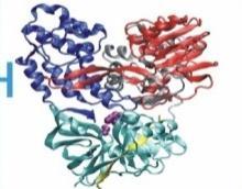 NS4B NS5A NS5B Protease inhibitors Paritaprevir (ABT-450) Telaprevir Asunaprevir Boceprevir MK-5172