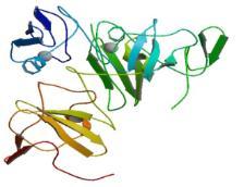 PPI-668 GSK-2336805 Samatasvir MK-8742 Polimerase inhibitors Nucs Non-Nucs Sofosbuvir Dasabuvir VX-135