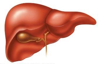 A májfibrosis
