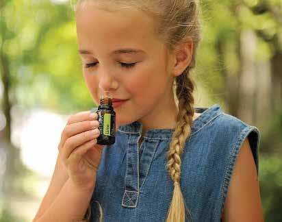 A dōterra első ajánlatát mely 25 önálló olajból és 10 olajkeverékből állt, 2008 április 25-én vezették be a piacra.