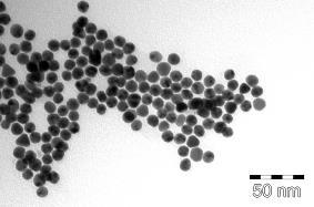 nanorészecskék 4 nm